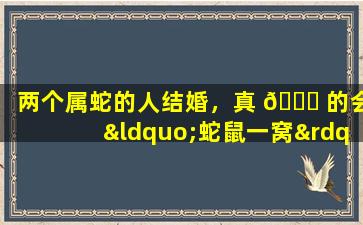 两个属蛇的人结婚，真 🐝 的会“蛇鼠一窝”吗